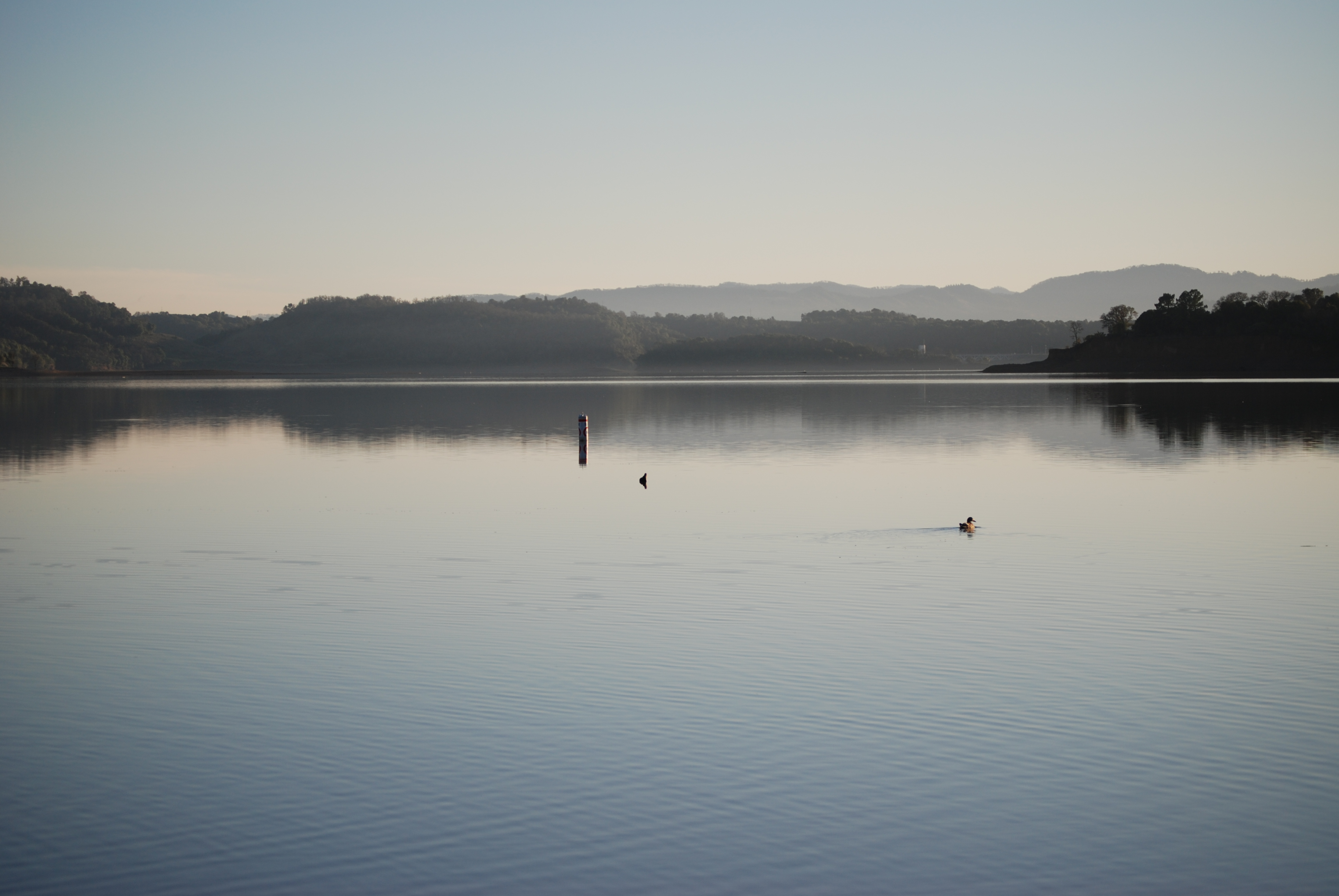 Lake Mendocino near Ukiah, California, surrounded by hills